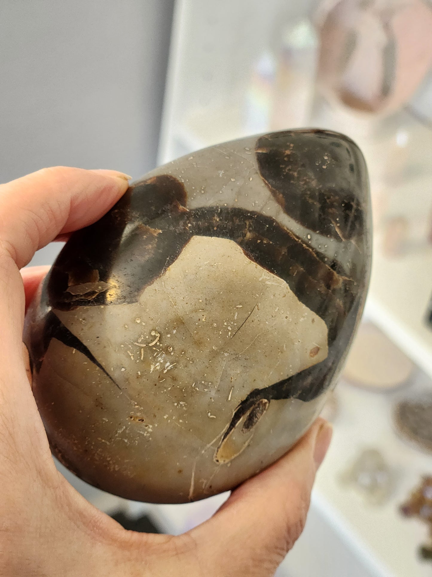 Septarian Egg