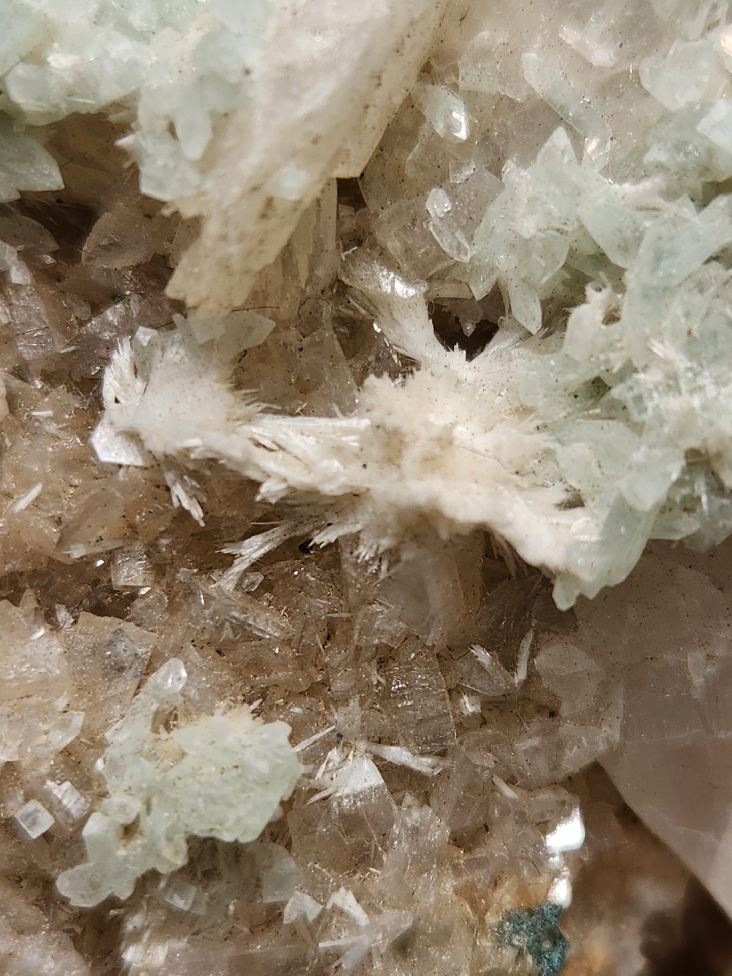 Zeolite - Apophyllite Specimens