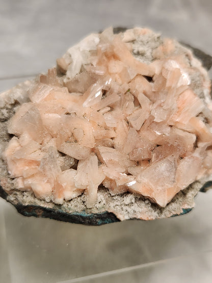 Zeolite - Apophyllite Specimens