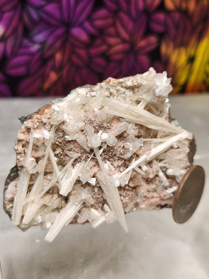 Zeolite - Apophyllite Specimens