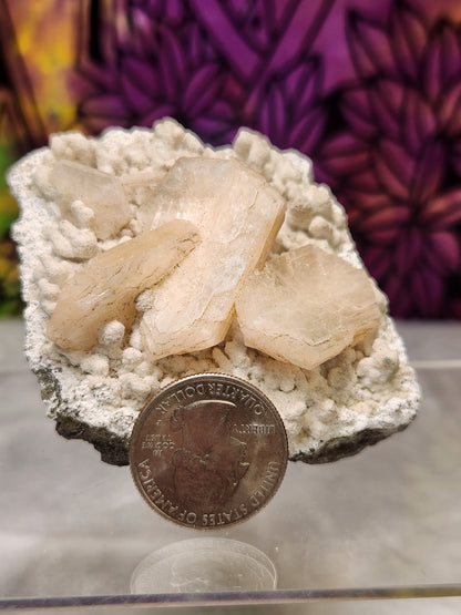 Zeolite - Apophyllite Specimens