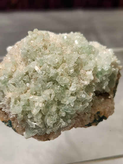 Zeolite - Apophyllite Specimens