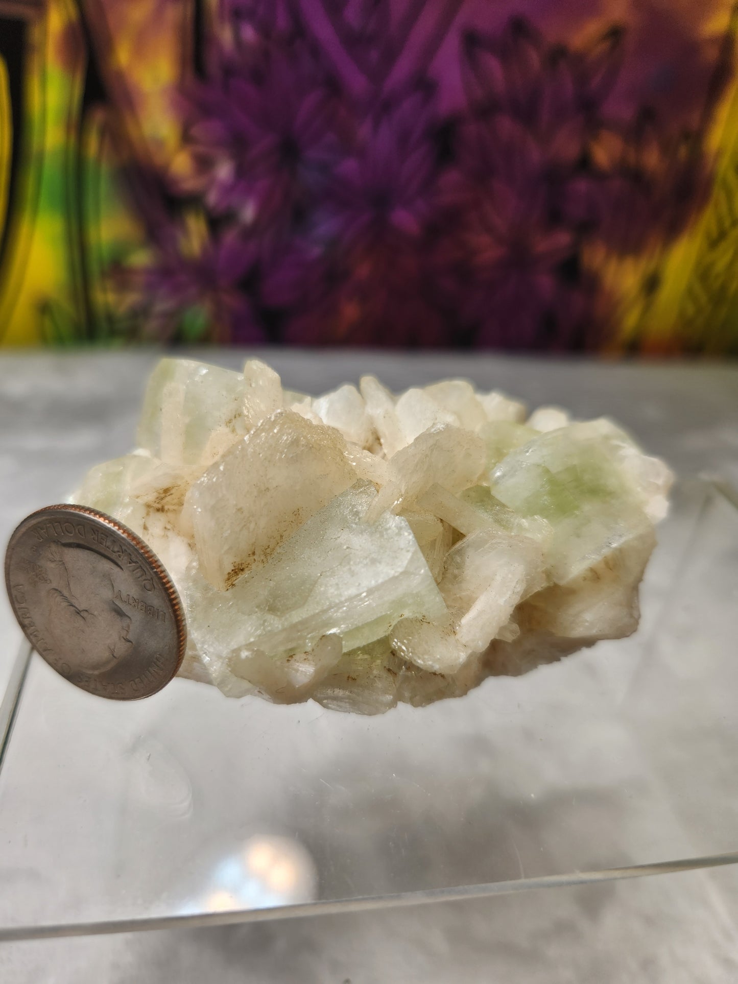 Zeolite - Apophyllite Specimens