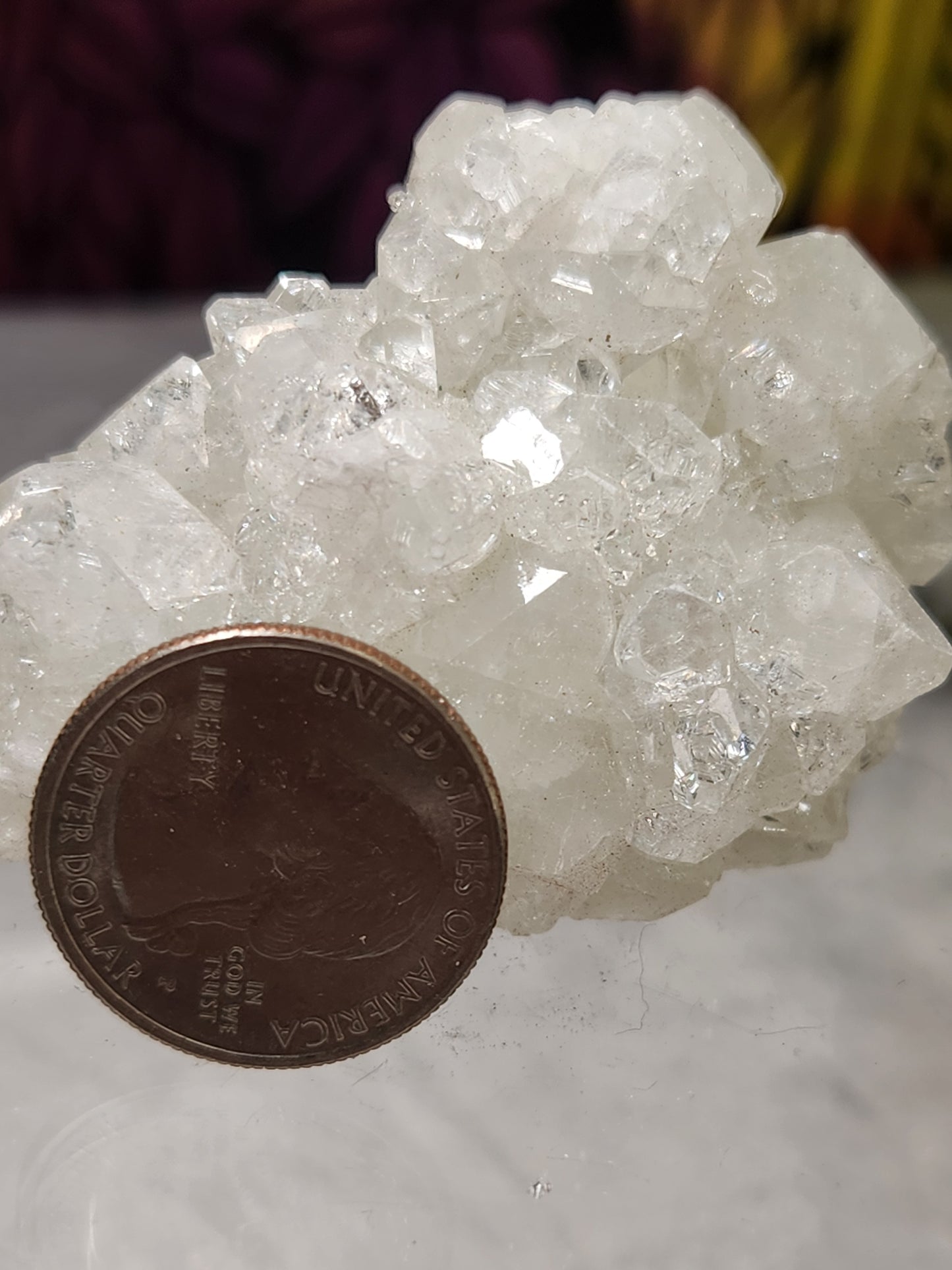 Zeolite - Apophyllite Specimens