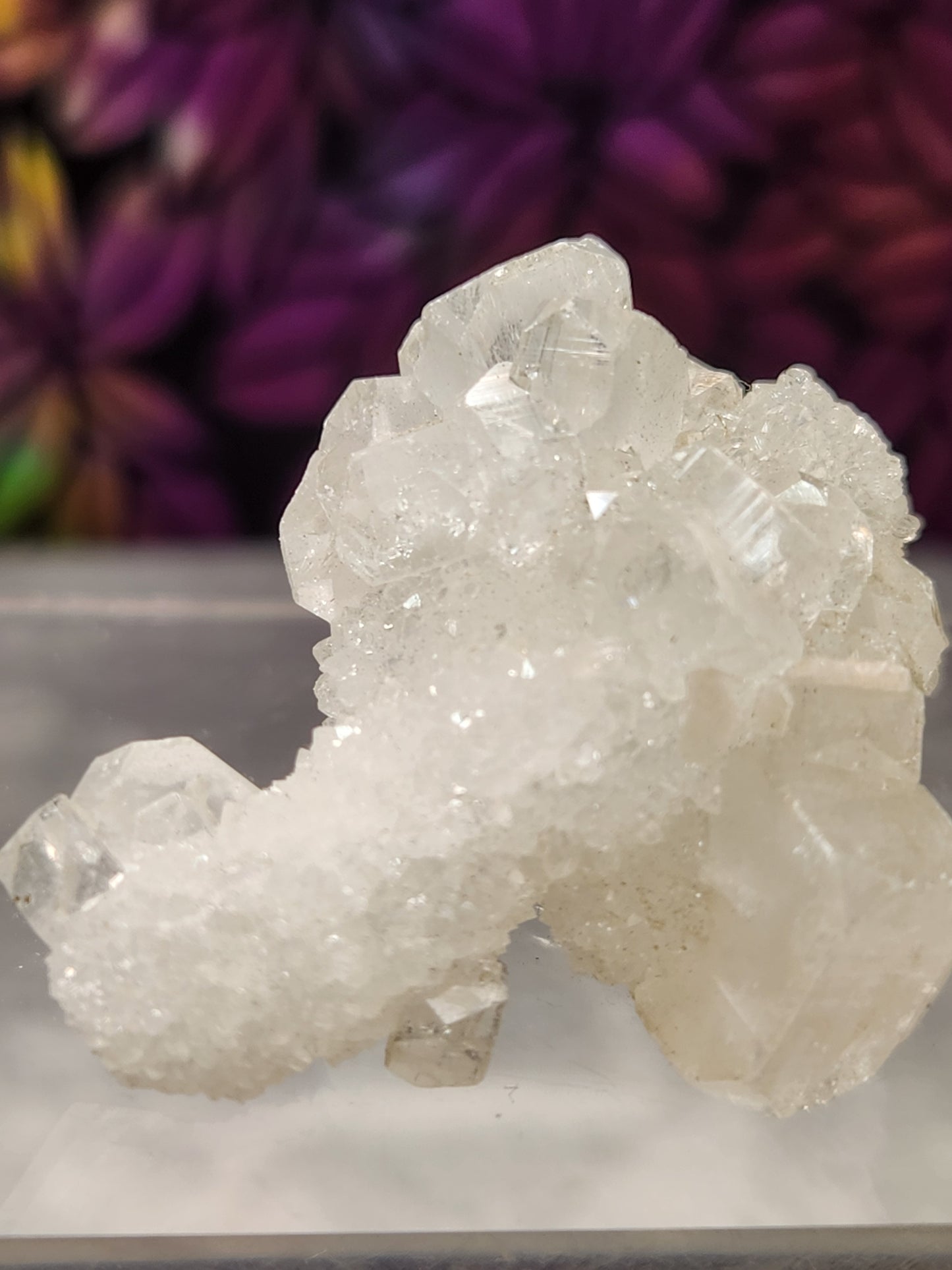 Zeolite - Apophyllite Specimens