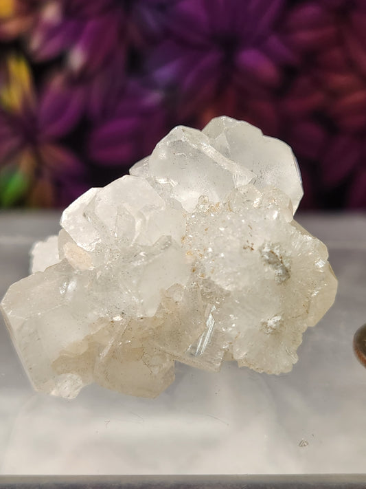 Zeolite - Apophyllite Specimens