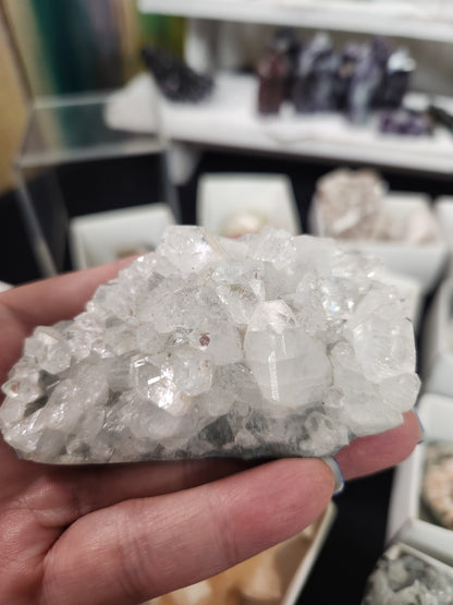 Zeolite - Apophyllite Specimens